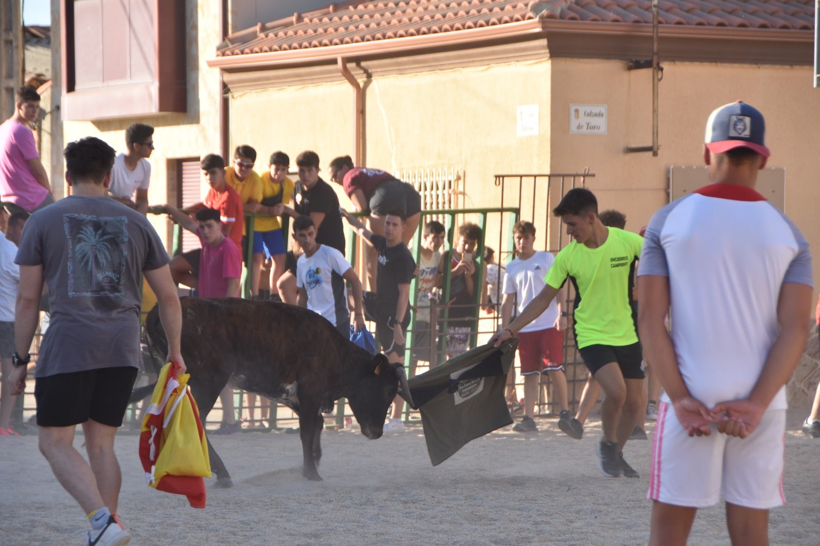 Aldeanueva vive sus festejos taurinos al estilo tradicional