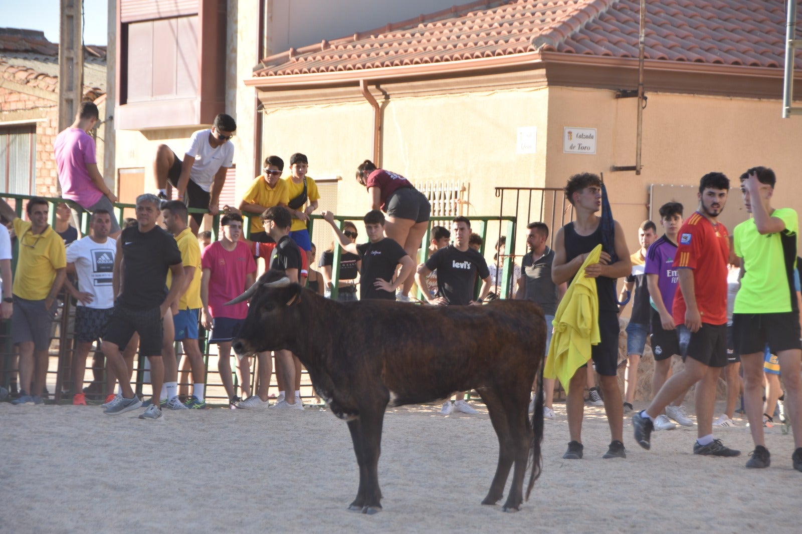 Aldeanueva vive sus festejos taurinos al estilo tradicional