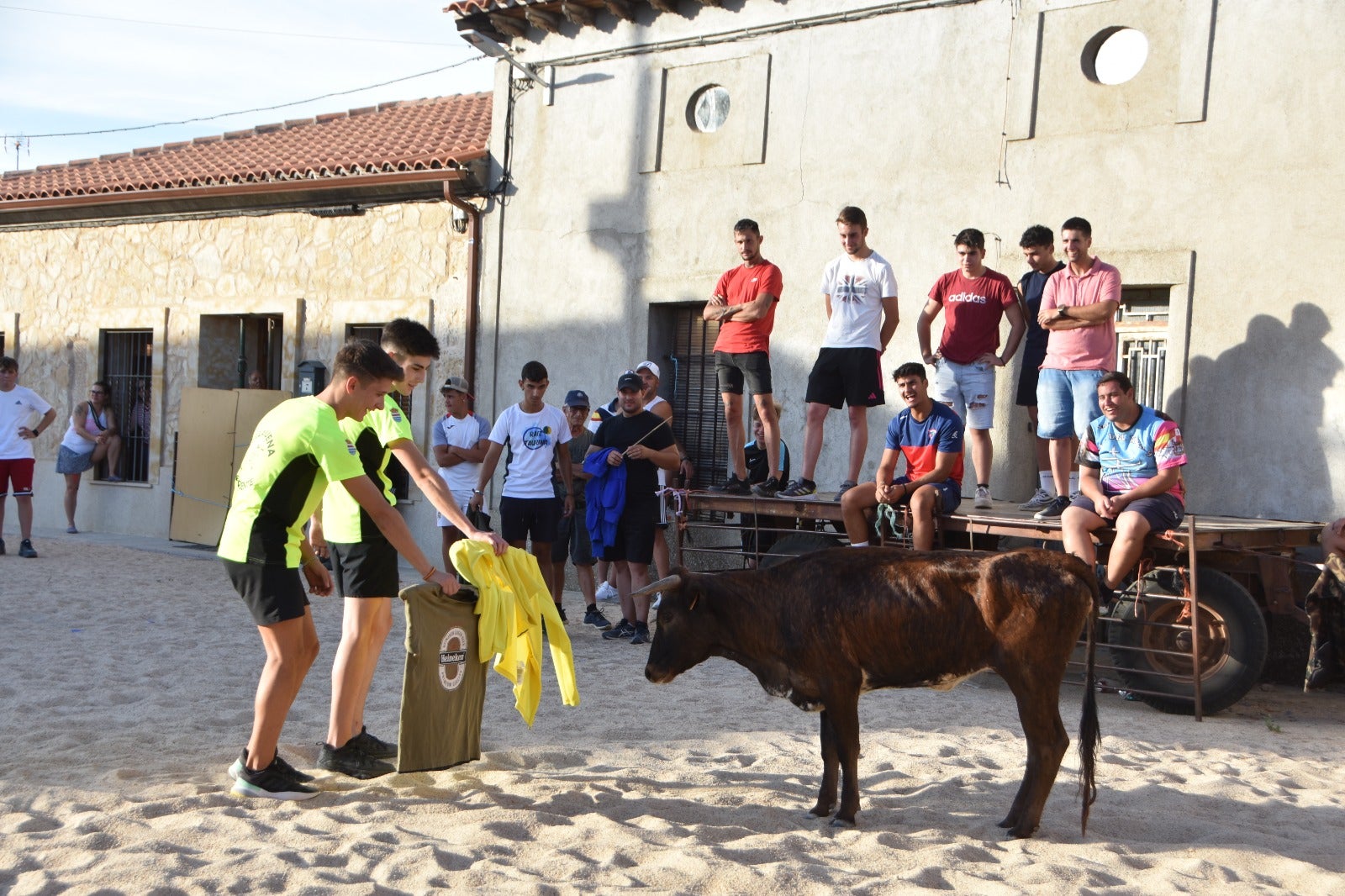 Aldeanueva vive sus festejos taurinos al estilo tradicional