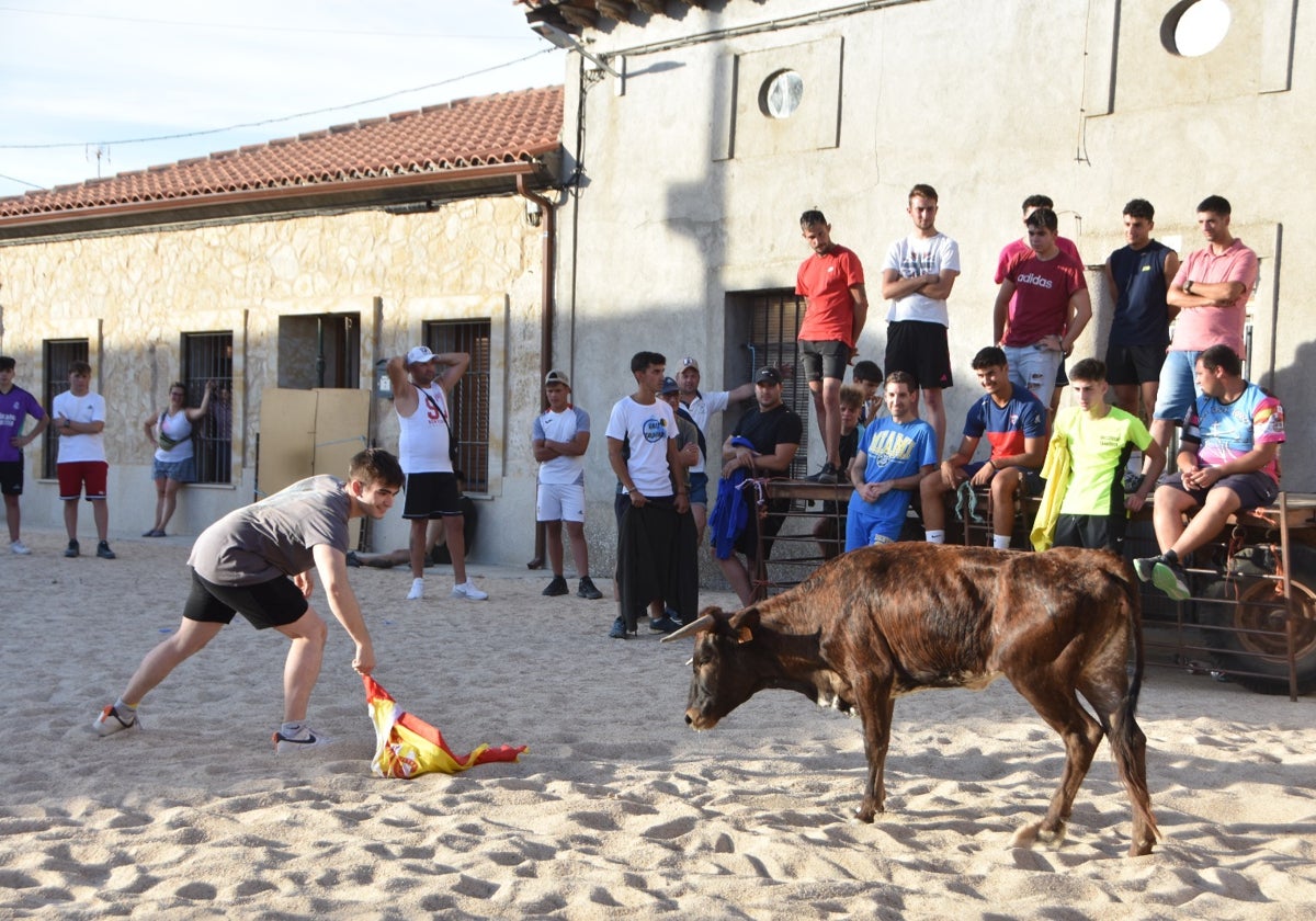 Aldeanueva vive sus festejos taurinos al estilo tradicional