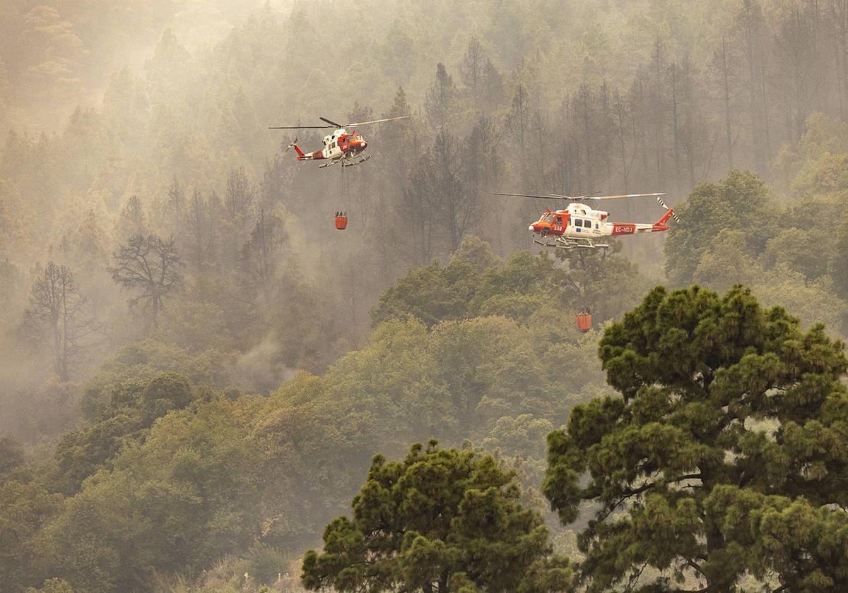 El incendio de Tenerife afecta ya a 8.400 hectáreas y hay más de 12.000 personas desalojadas