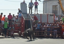 Entrega total a la patrona en Villavieja