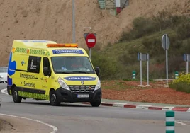 Una ambulancia del Sacyl se trasladó al lugar para asistir al herido.