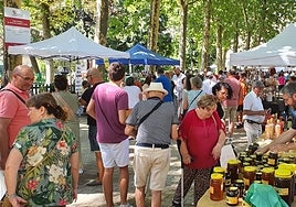 Imagen de la afluencia de público esta mañana en el mercado de artesanía, antigüedades y coleccionismo de Béjar