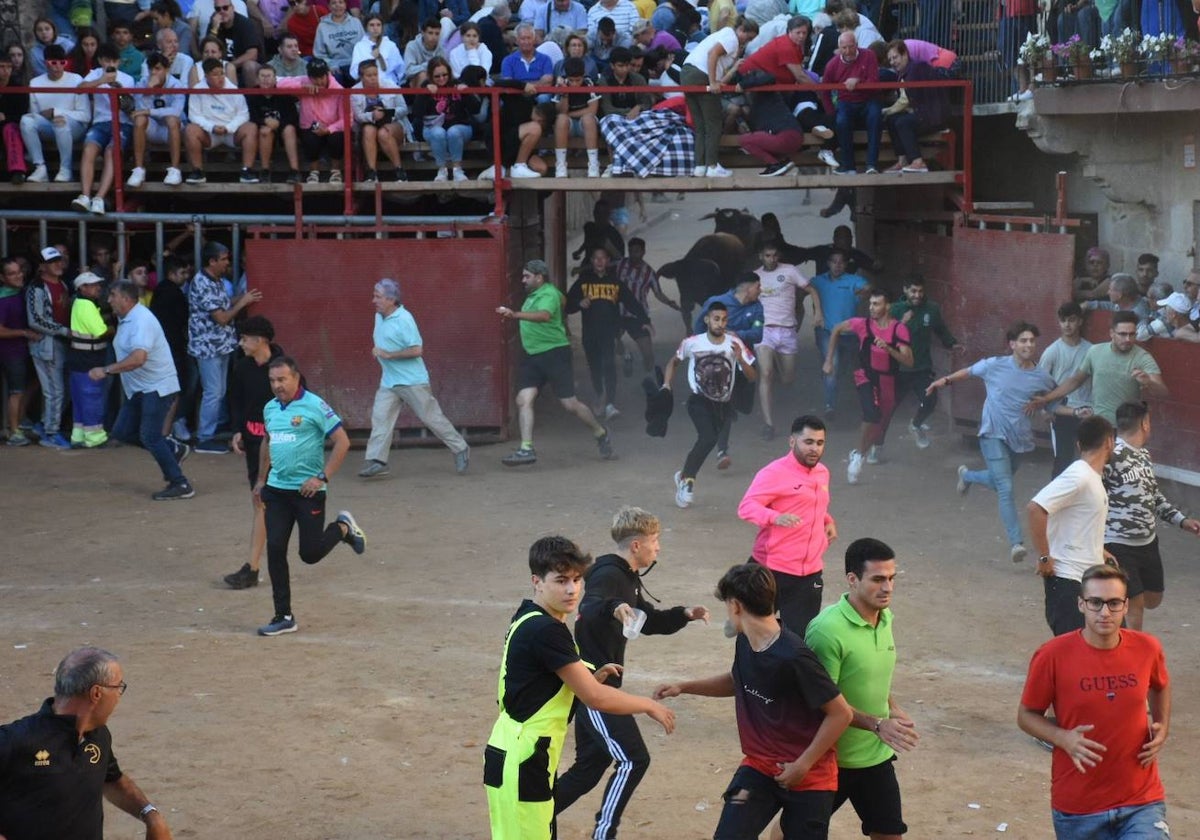 Las mejores imágenes del segundo encierro de Aldeadávila de la Ribera