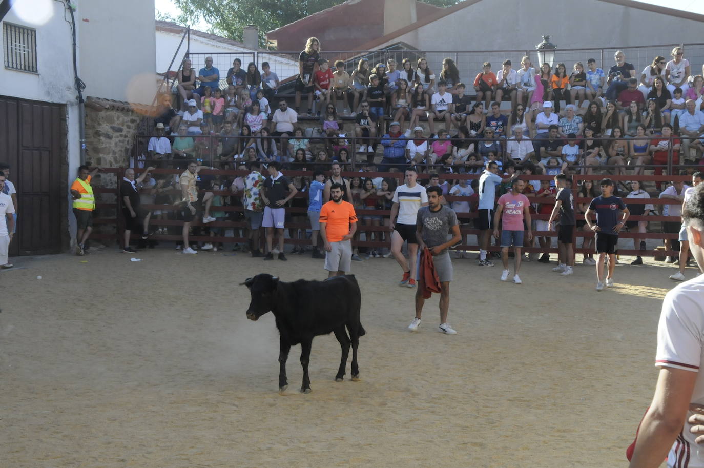 Emoción taurina en las fiestas de San Juan Bautista en El Cabaco