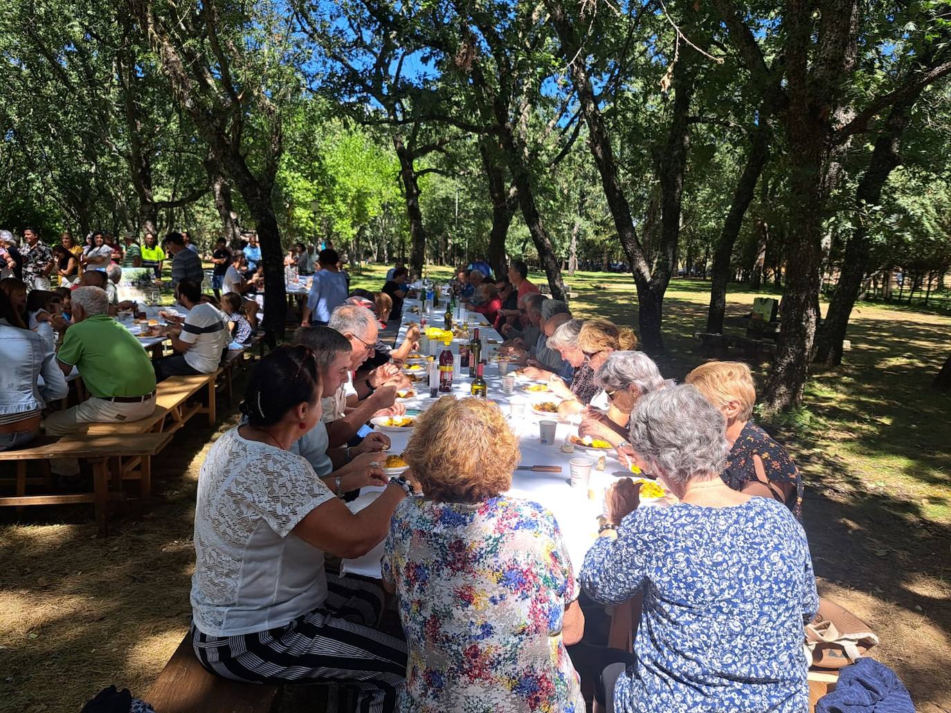 Sabrosa paella como premio a la tradición en Agallas