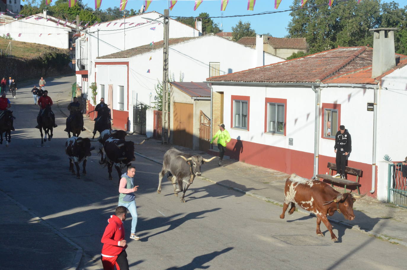 Precisión milimétrica en el penúltimo encierro a caballo de Aldeadávila de la Ribera