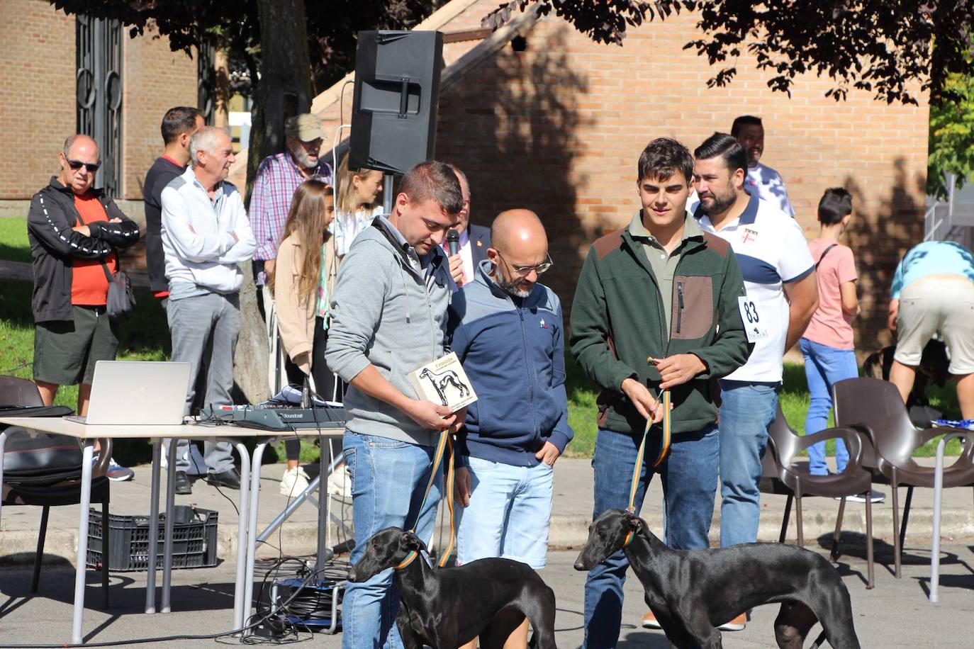 El galgo español más perfecto se cita en Peñaranda