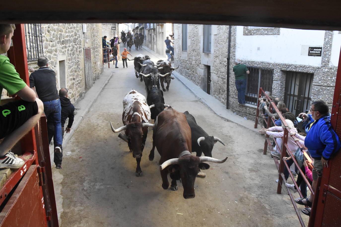 Las incombustibles peñas de Aldeadávila de la Ribera despiden las fiestas de San Bartolo