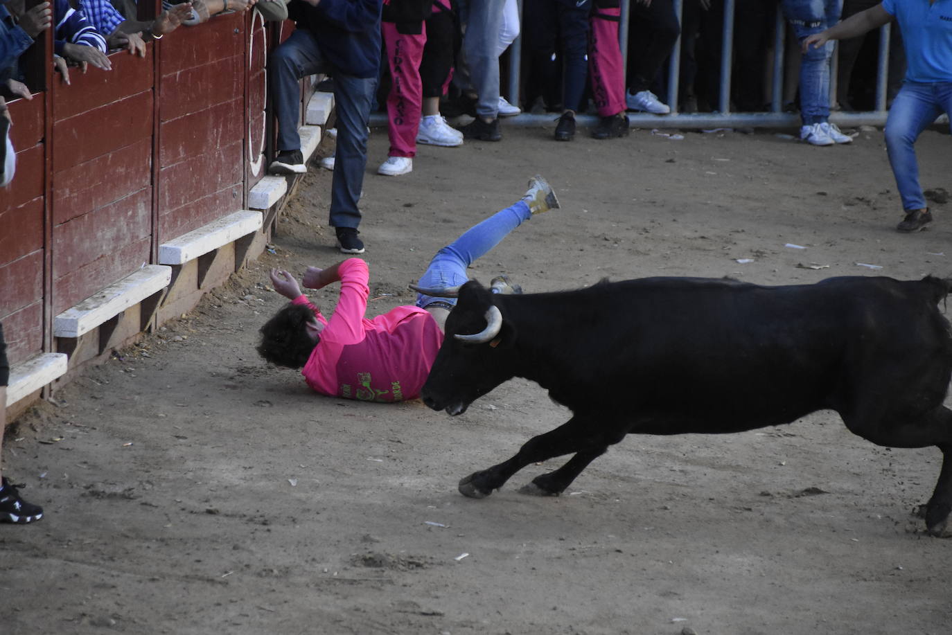 Las incombustibles peñas de Aldeadávila de la Ribera despiden las fiestas de San Bartolo