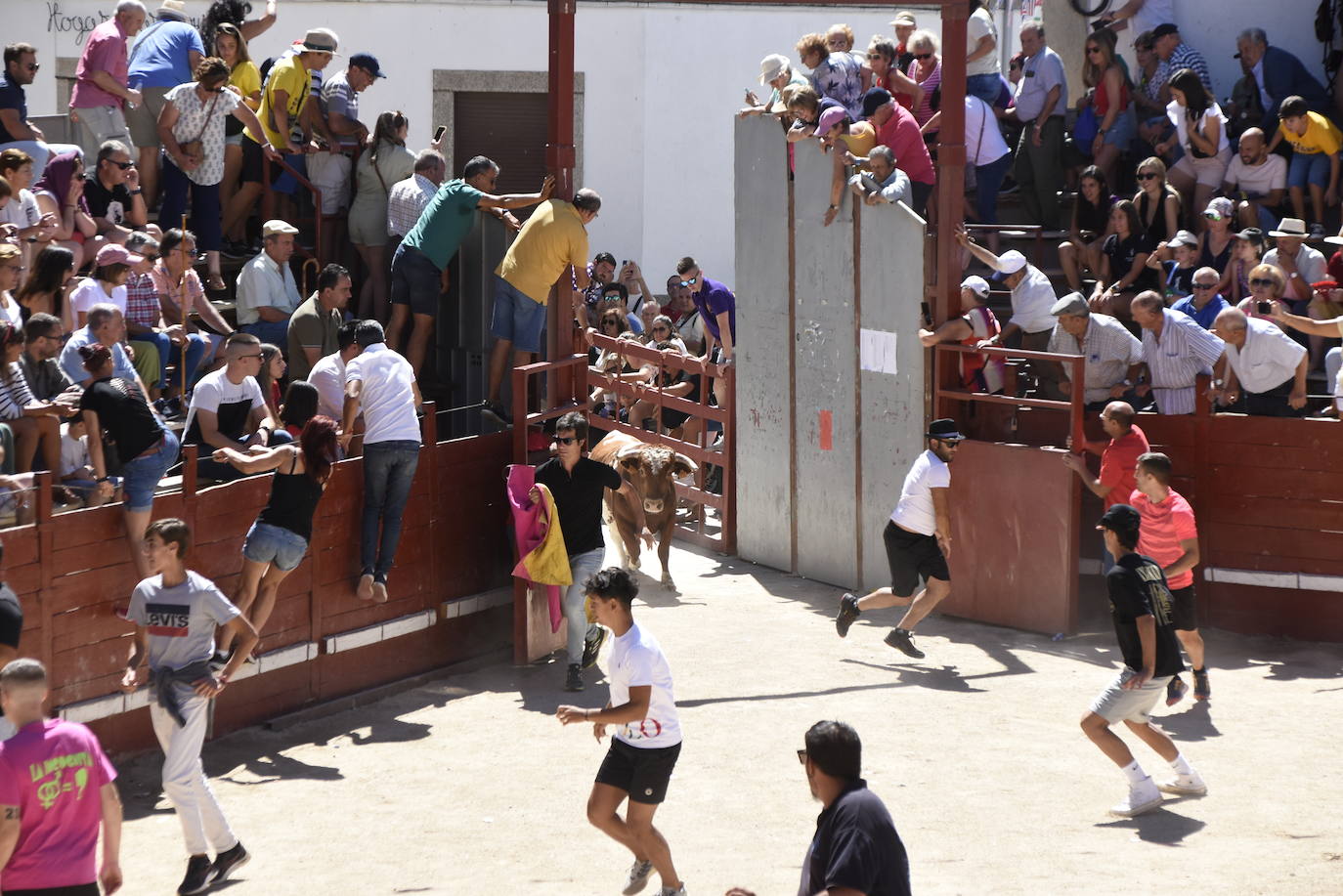 Honores, devoción y afición en Villavieja de Yeltes