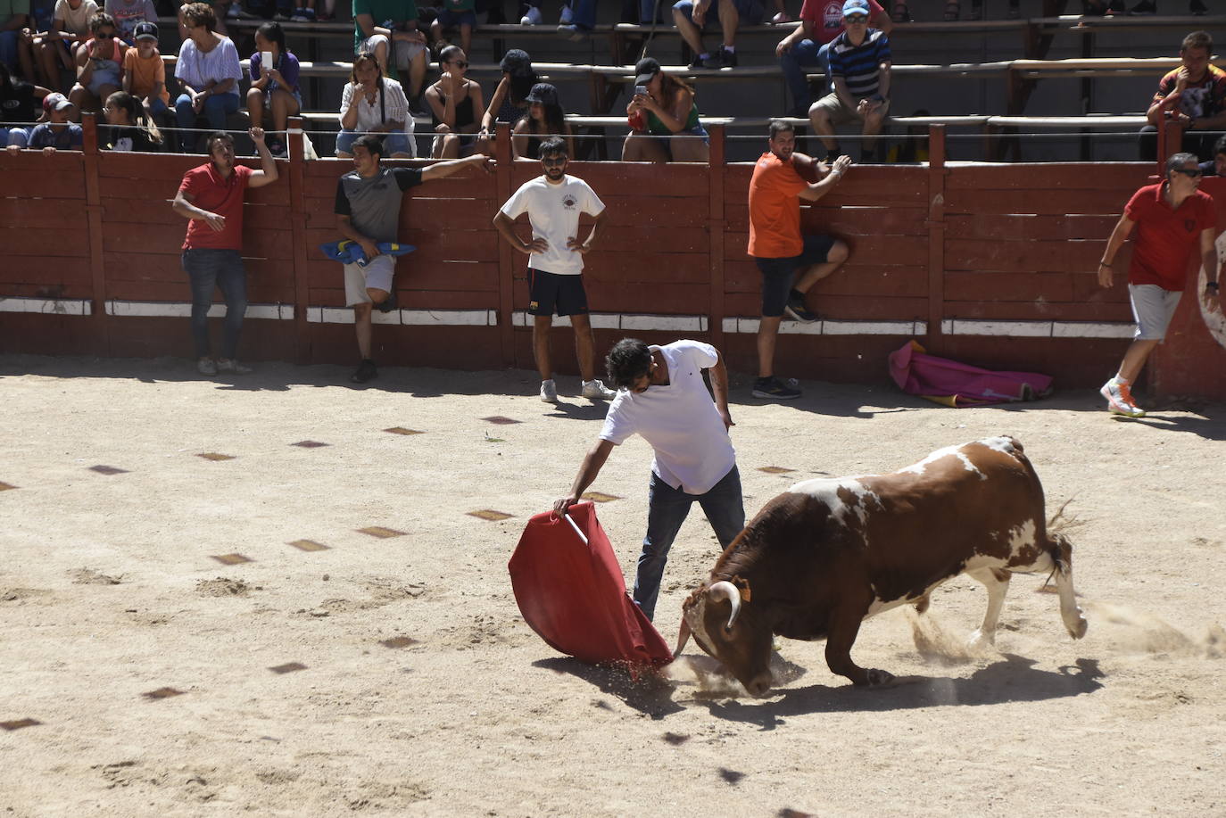 Honores, devoción y afición en Villavieja de Yeltes