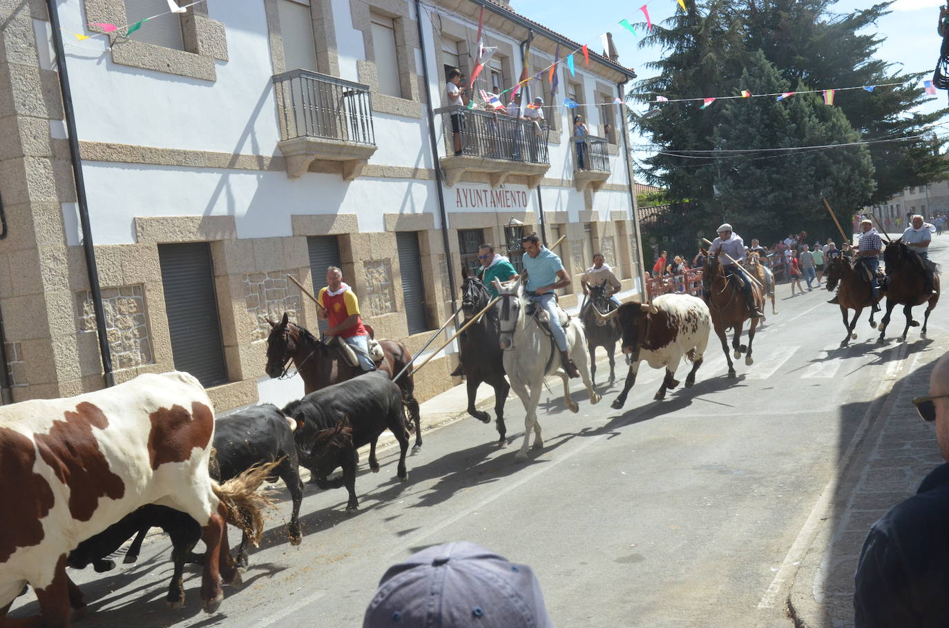 Villavieja de Yeltes respira adrenalina en el encierro a caballo