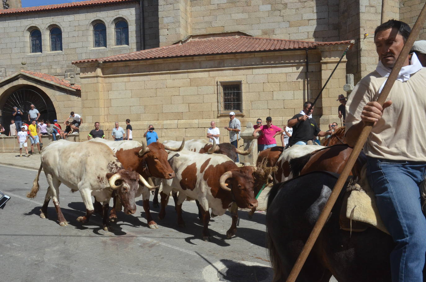 Villavieja de Yeltes respira adrenalina en el encierro a caballo