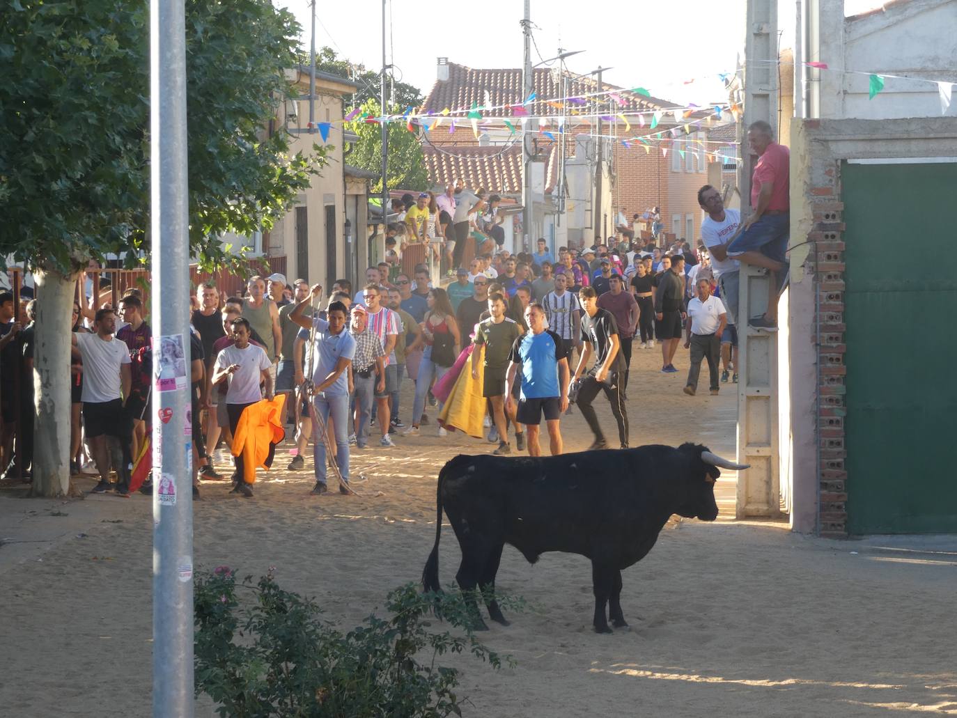 Multitudinario segundo encierro en Villaflores