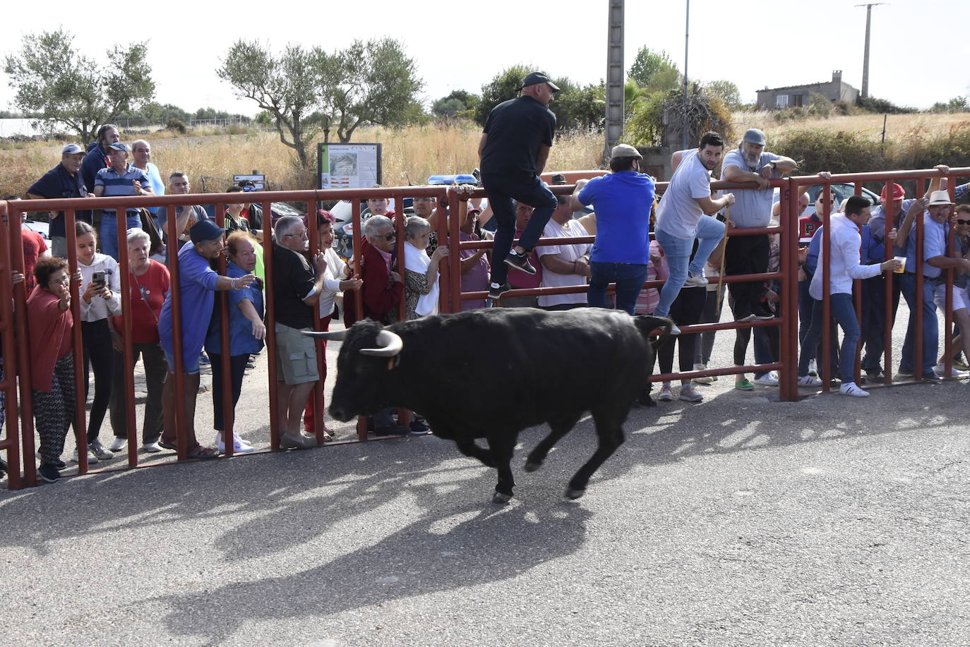 Lleno total en la «monumental» de Pereña de la Ribera