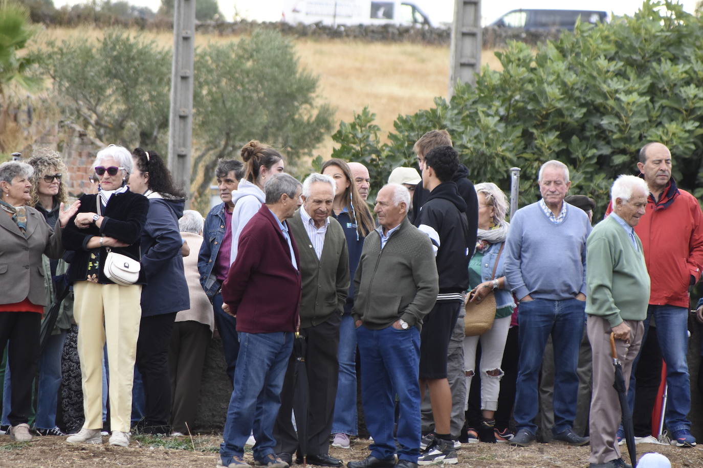 Fulminante último encierro de Pereña de la Ribera