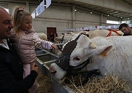 Las mejores imágenes de la tercera jornada de Salamaq 2023
