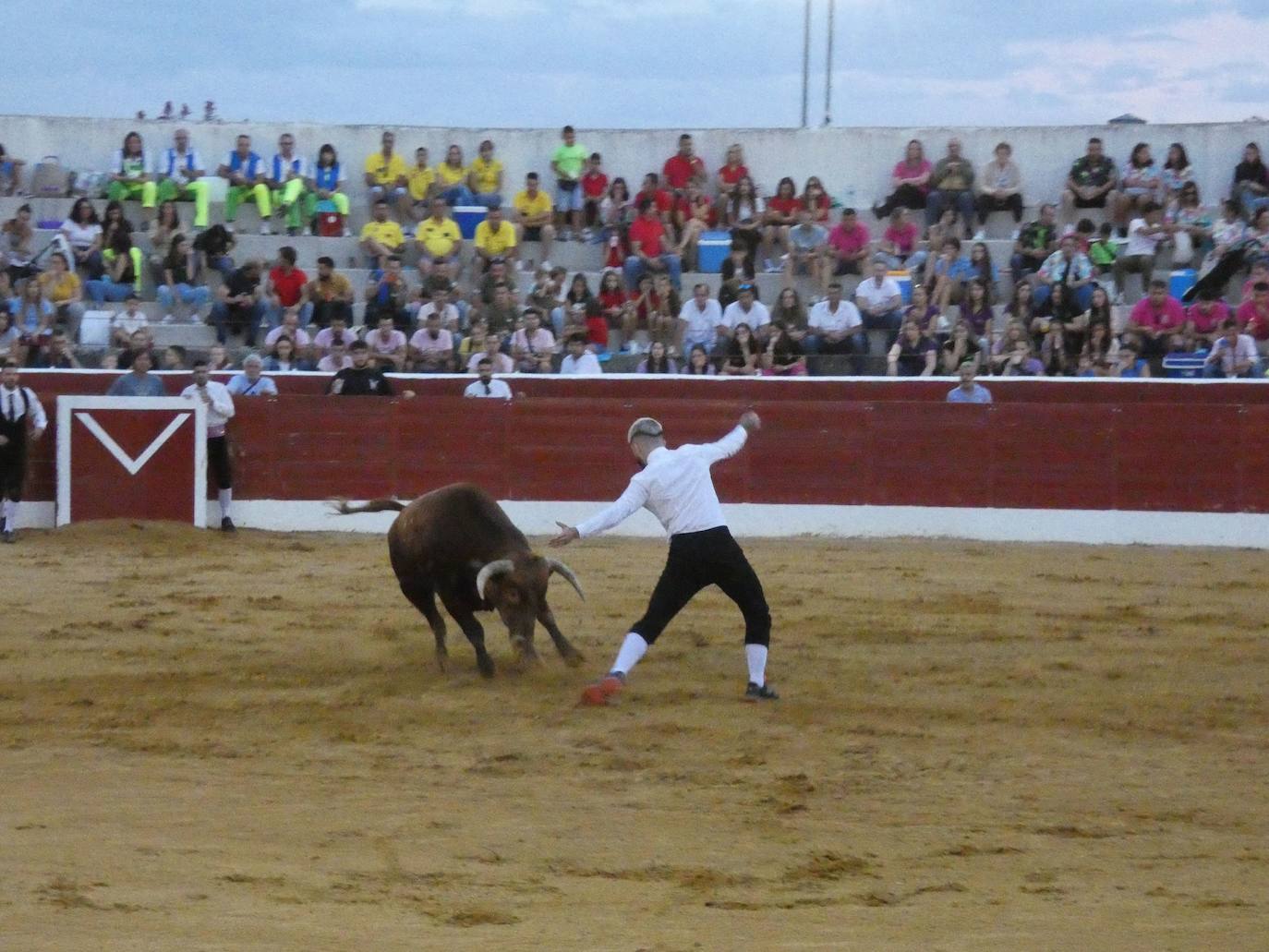 Tarde de riesgo y valentía en el concurso de recortes de Villoria