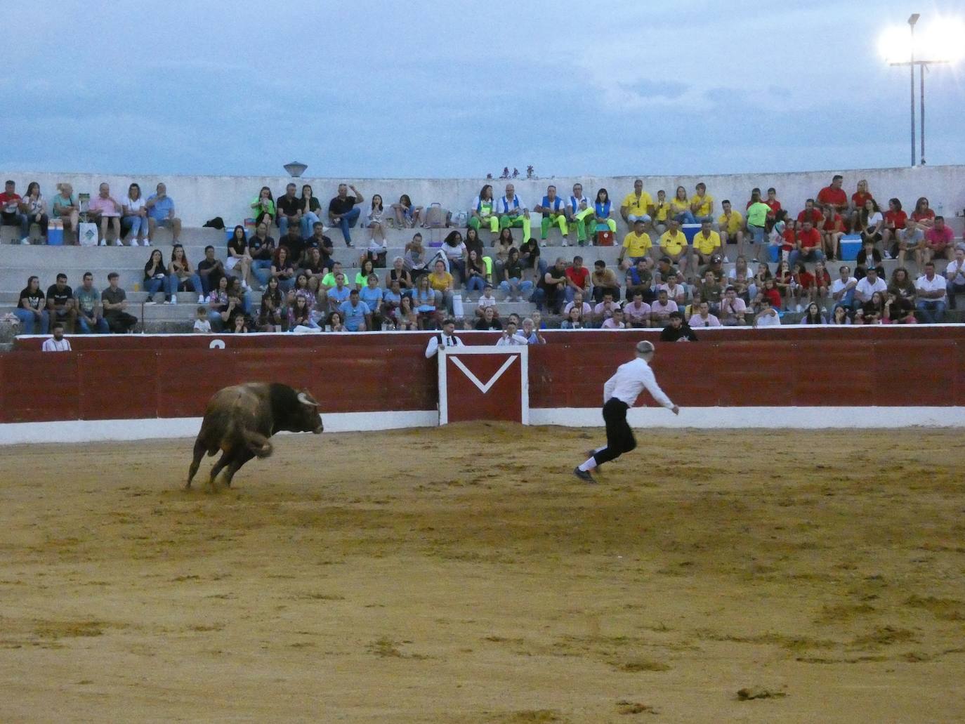 Tarde de riesgo y valentía en el concurso de recortes de Villoria