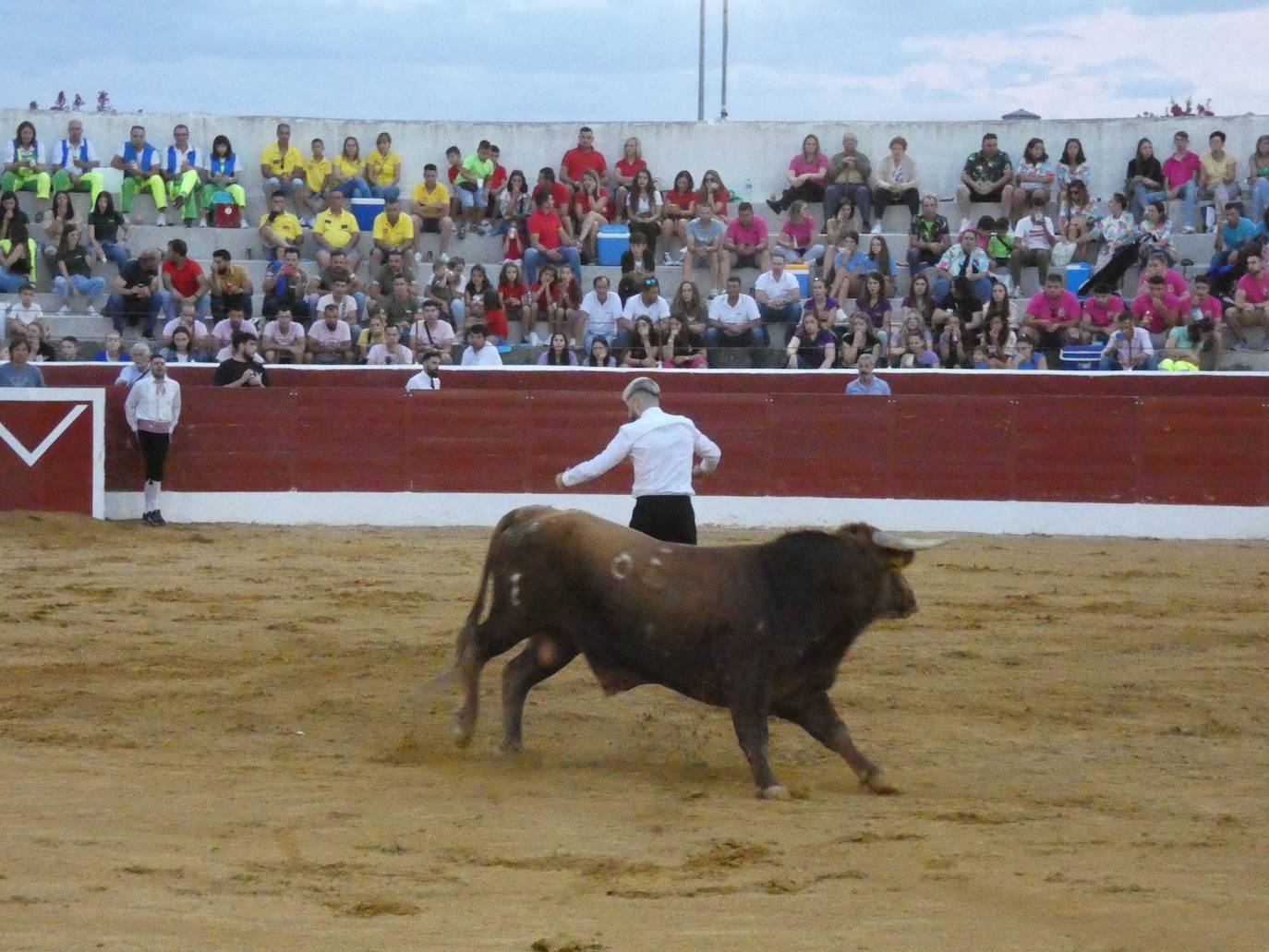 Tarde de riesgo y valentía en el concurso de recortes de Villoria