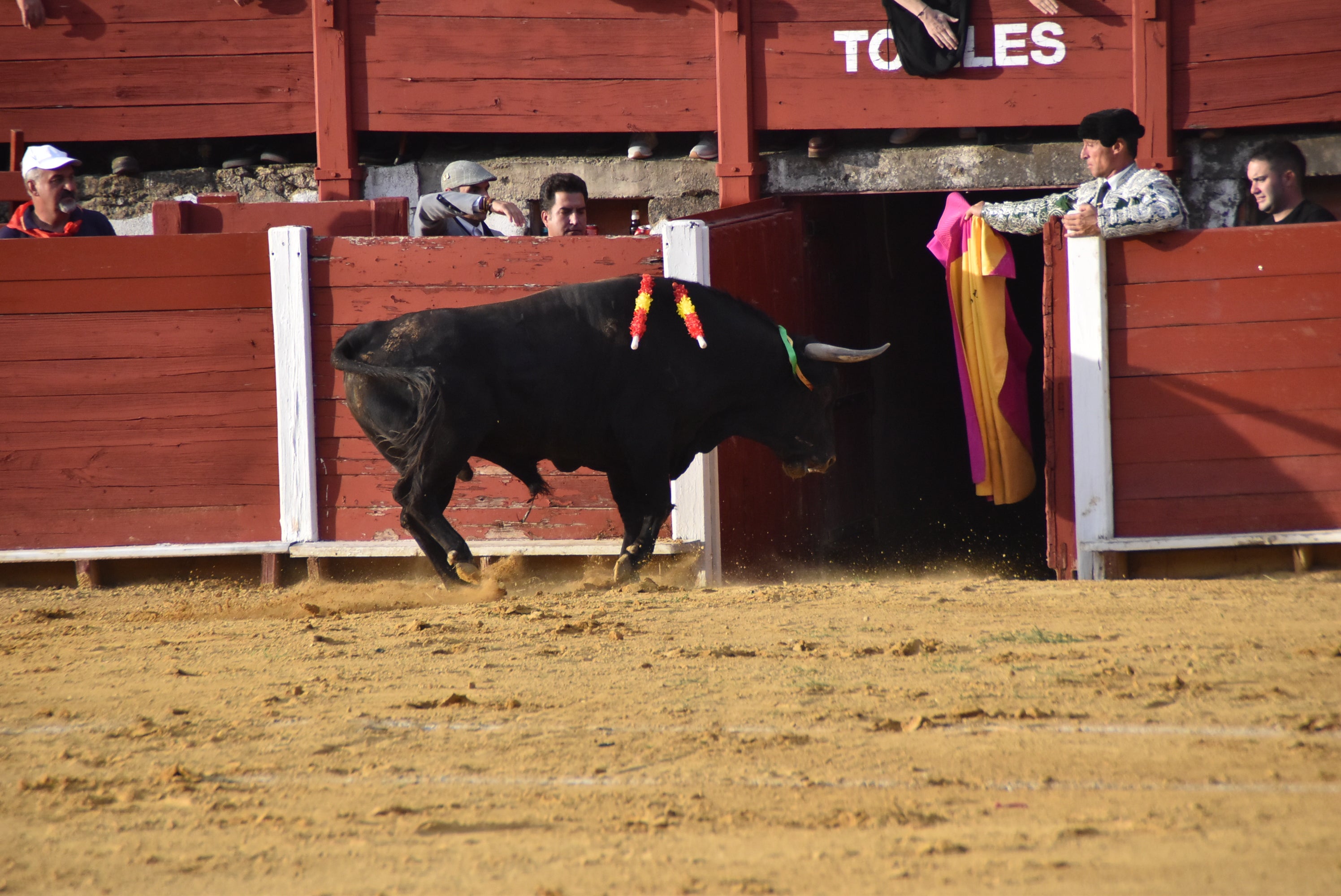 Buen ambiente en el festejo taurino de la Virgen en Béjar