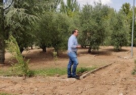 El alcalde, David Mingo, en el parque de Los Oivos.