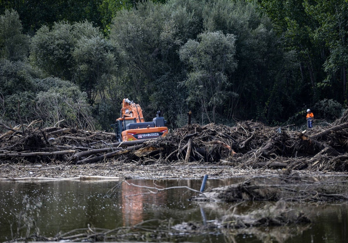 Equipos de rescate tras el encuentro del segundo cadáver hallado en Aldea del Fresno.