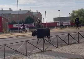 El morlaco por las calles de Medina del Campo.