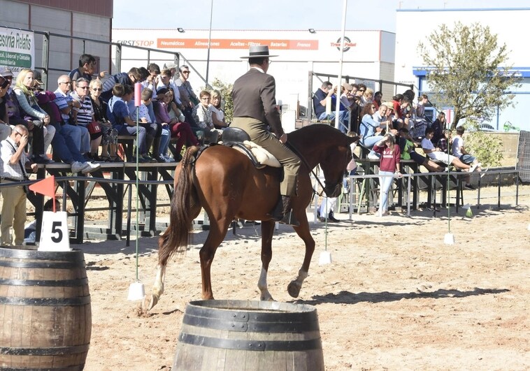 Ciudad Rodrigo anuncia las bases para concursar en Equitación de Trabajo
