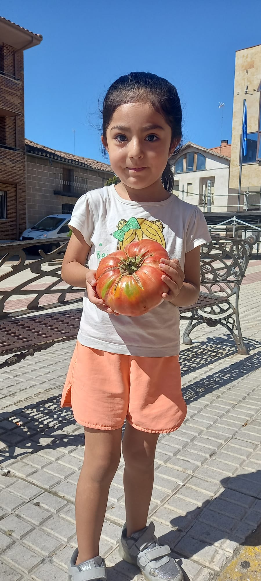 Así es el espectacular tomate XXXL vencedor del concurso de San Cristóbal