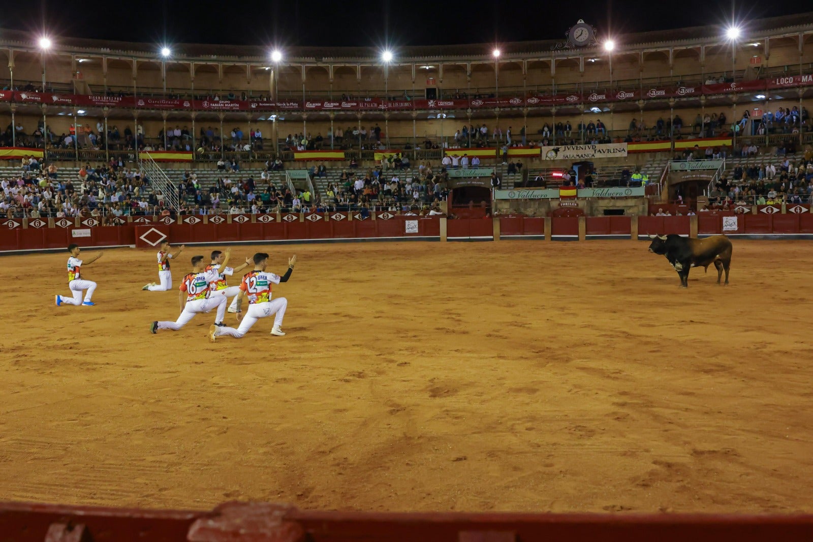 Las espectaculares imágenes del concurso de cortes en La Glorieta