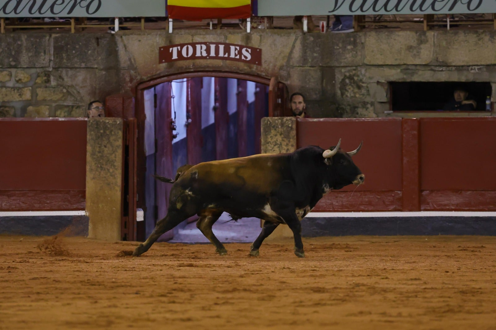 Las espectaculares imágenes del concurso de cortes en La Glorieta