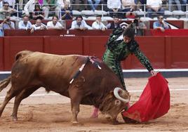 Excelente natural de Miguel Ángel Perera ante la entregada y profunda embestida de Madrileño.