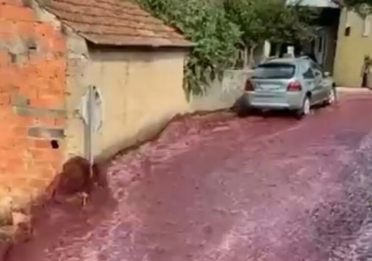 Una &#039;riada de vino&#039; inunda un pueblo en Portugal