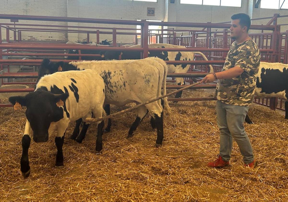 Óscar, con una de sus berrendas capirotas