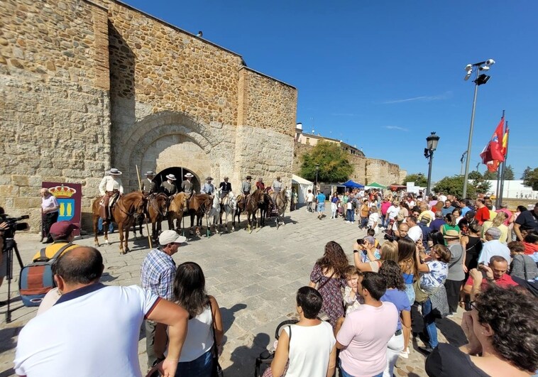 Celebración de la Feria del Caballo de Ciudad Rodrigo del pasado año.