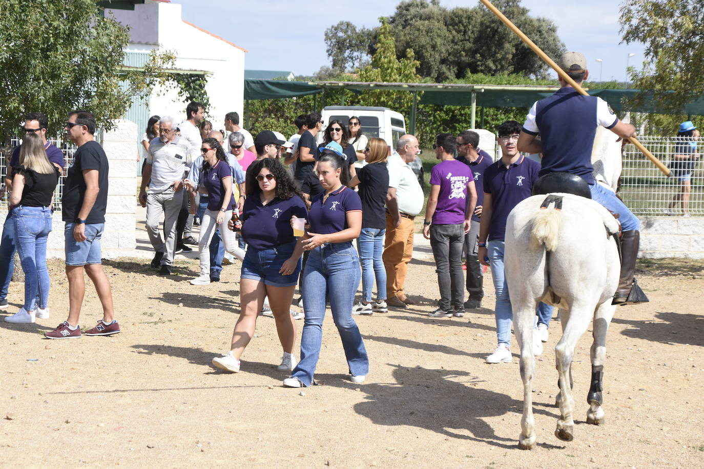 Encierro con caballos y una vaquilla díscola