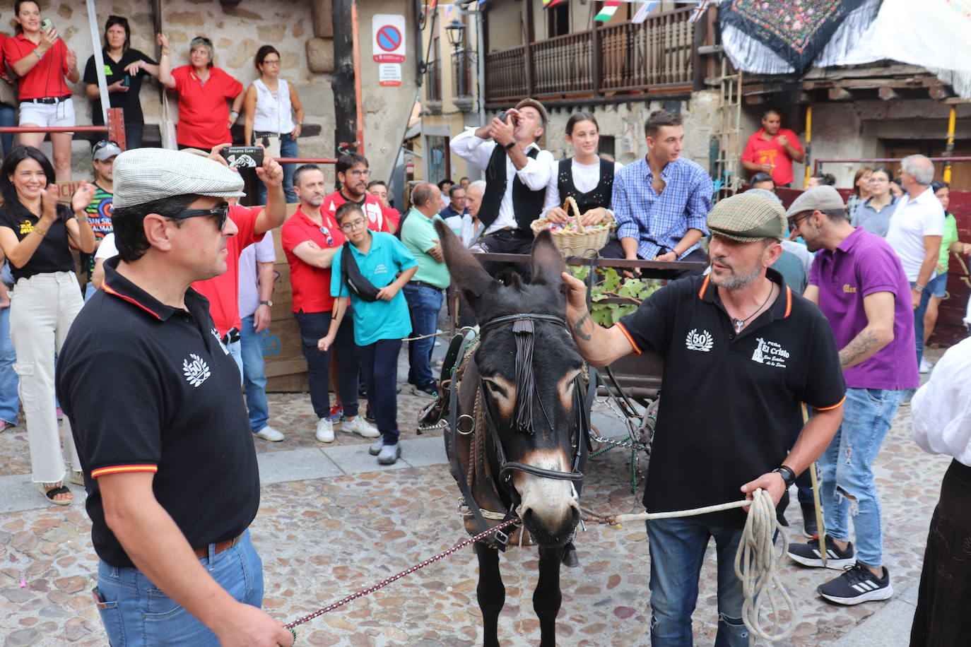 El toro no defrauda y llena San Esteban de la Sierra