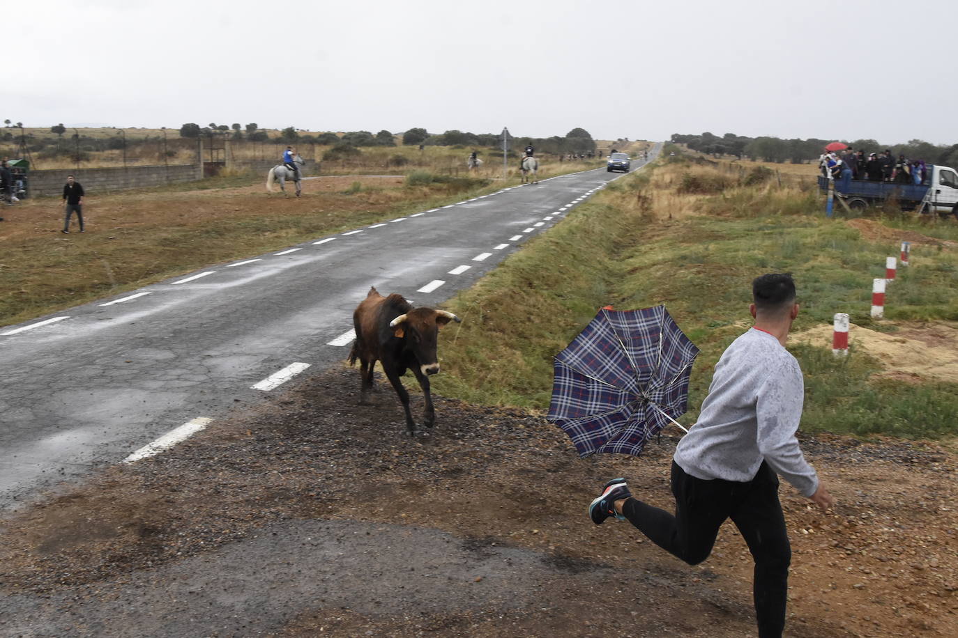 El agua no espanta ni a público ni a vacas en Aldehuela de Yeltes