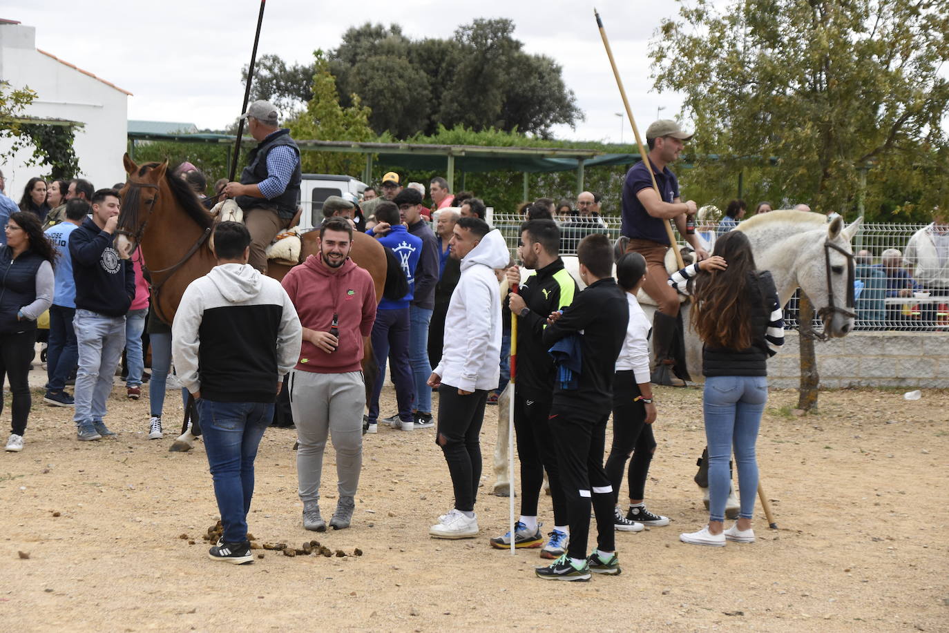 El agua no espanta ni a público ni a vacas en Aldehuela de Yeltes