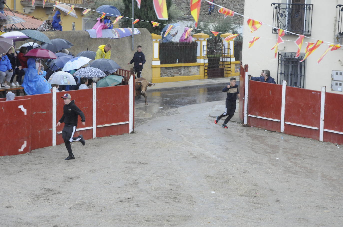 Emoción en un encapotado festejo con caballos en Bañobárez