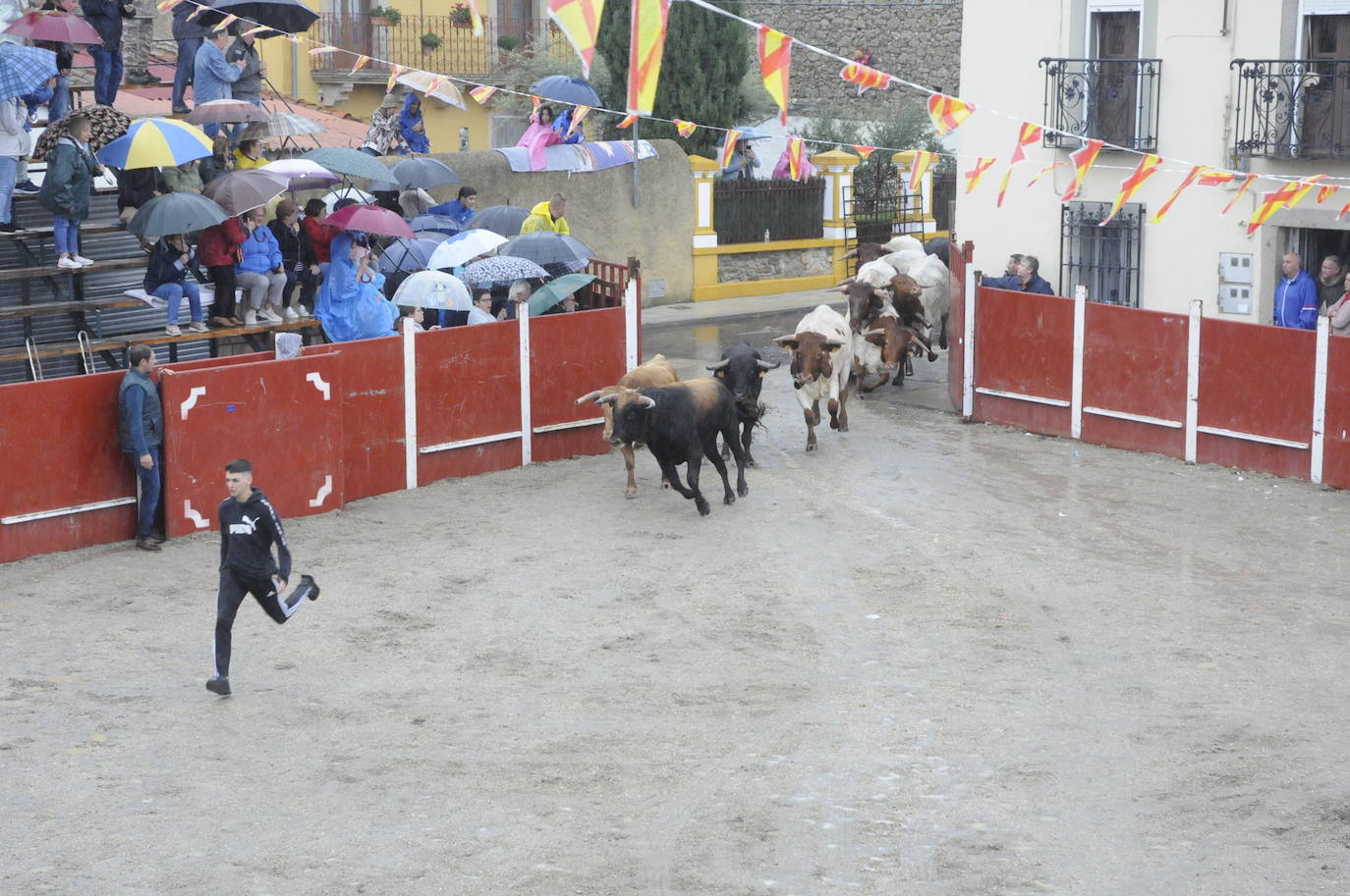 Emoción en un encapotado festejo con caballos en Bañobárez