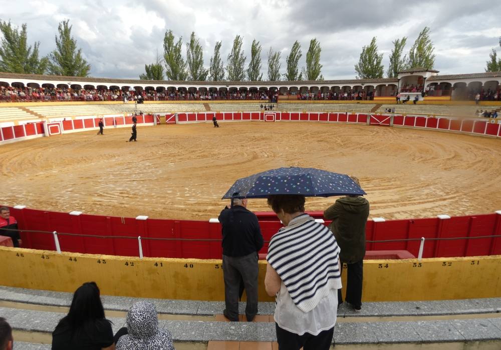 La Guardia Real se exhibe en La Florida de Peñaranda