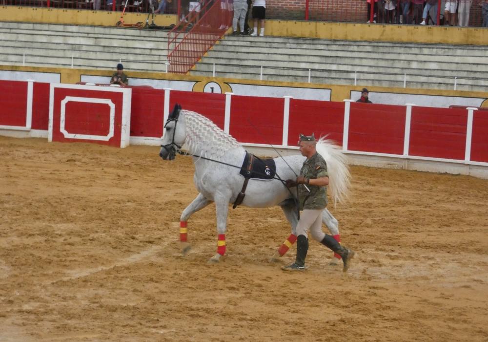 La Guardia Real se exhibe en La Florida de Peñaranda