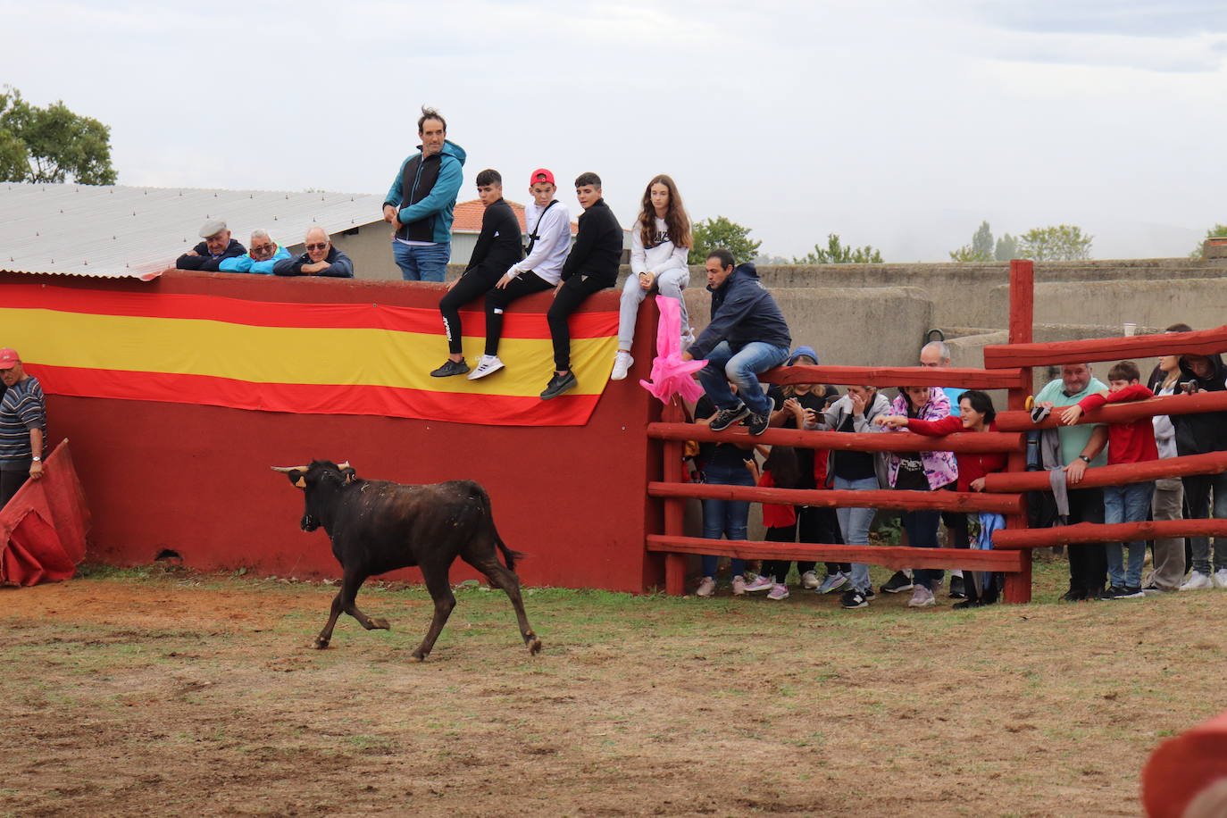 La lluvia no puede con las vaquillas de Colmenar de Montemayor