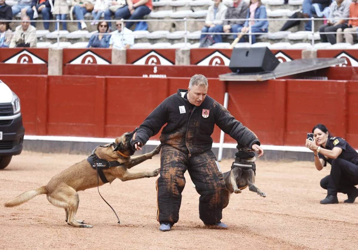 La Policía Nacional se luce en La Glorieta