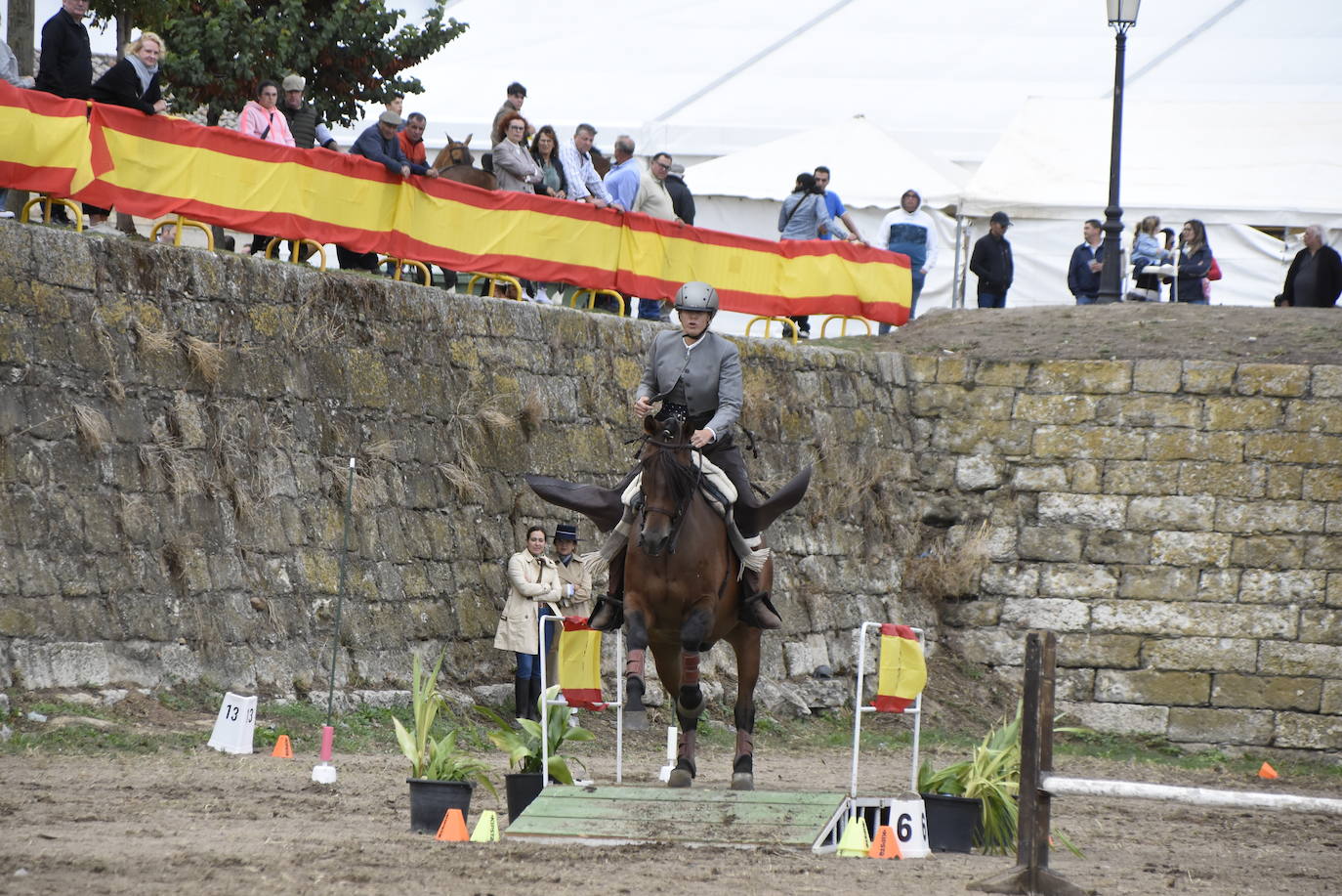 Las citas nacionales dan renombre a la Feria del Caballo de Ciudad Rodrigo