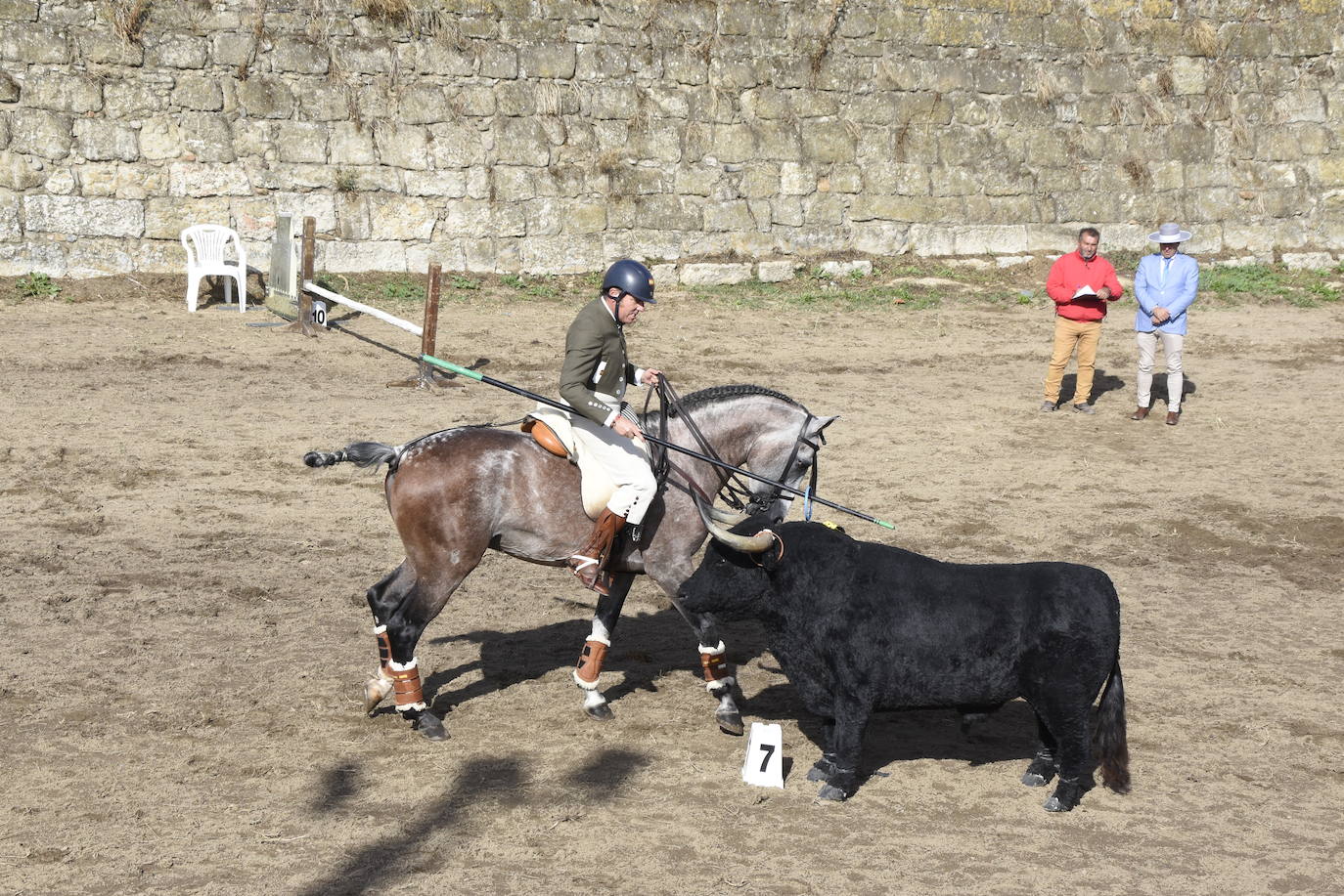 Las citas nacionales dan renombre a la Feria del Caballo de Ciudad Rodrigo